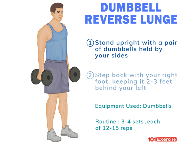 How to do Dumbbell Reverse Lunge and Its Variations | 101Exercise.com